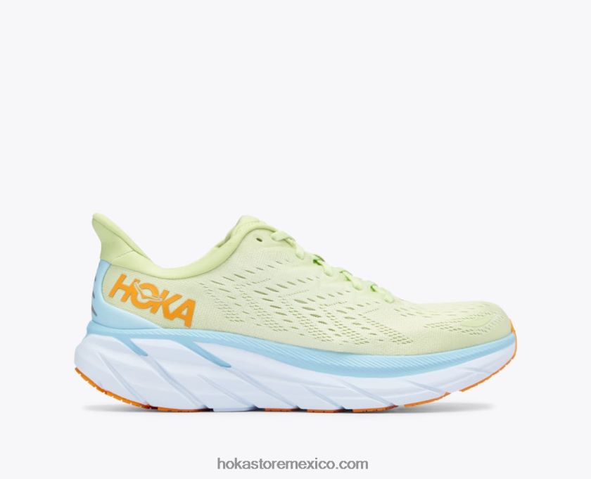 mariposa/cancion de verano