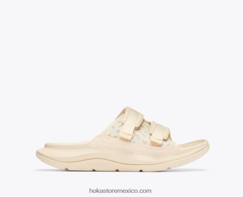 pan dulce/ponche de huevo