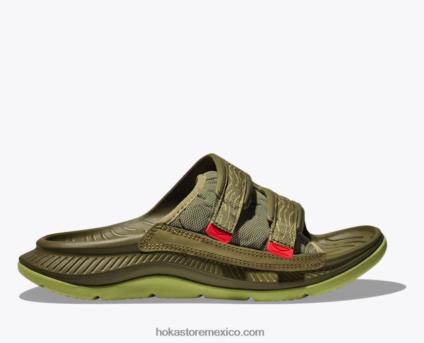 aguacate/musgo verde